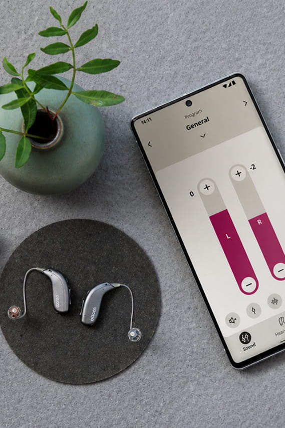 Hearing Aid
